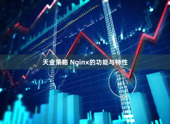 天金策略 Nginx的功能与特性